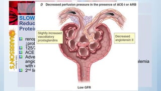TREATMENT
SLOWING THE PROGRESSION OF CKD:
Reducing Intraglomerular Hypertension and
Proteinuria
renoprotective effect of antihypertensive medications -
↓proteinuria
125/75 mmHg as the target blood pressure
ACE inhibitors and ARBs
Adverse effects from these agents include cough and
angioedema with ACE inhibitors, anaphylaxis, and hyperkalemia
with either class
2nd line - diltiazem and verapamil
 