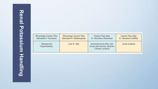 RenalPotassiumHandling
 