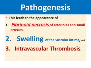 Pathogenesis
• This leads to the appearance of
1. Fibrinoid necrosis of arterioles and small
arteries,
2. Swelling of the vascular intima, and
3. Intravascular Thrombosis.
 