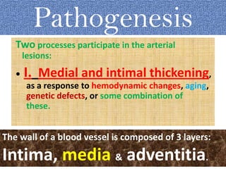 Pathogenesis
Two processes participate in the arterial
lesions:
• I. Medial and intimal thickening,
as a response to hemodynamic changes, aging,
genetic defects, or some combination of
these.
The wall of a blood vessel is composed of 3 layers:
Intima, media & adventitia.
 