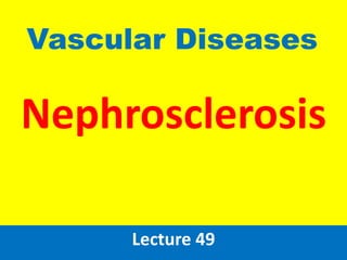 Nephrosclerosis
Lecture 49
Vascular Diseases
 