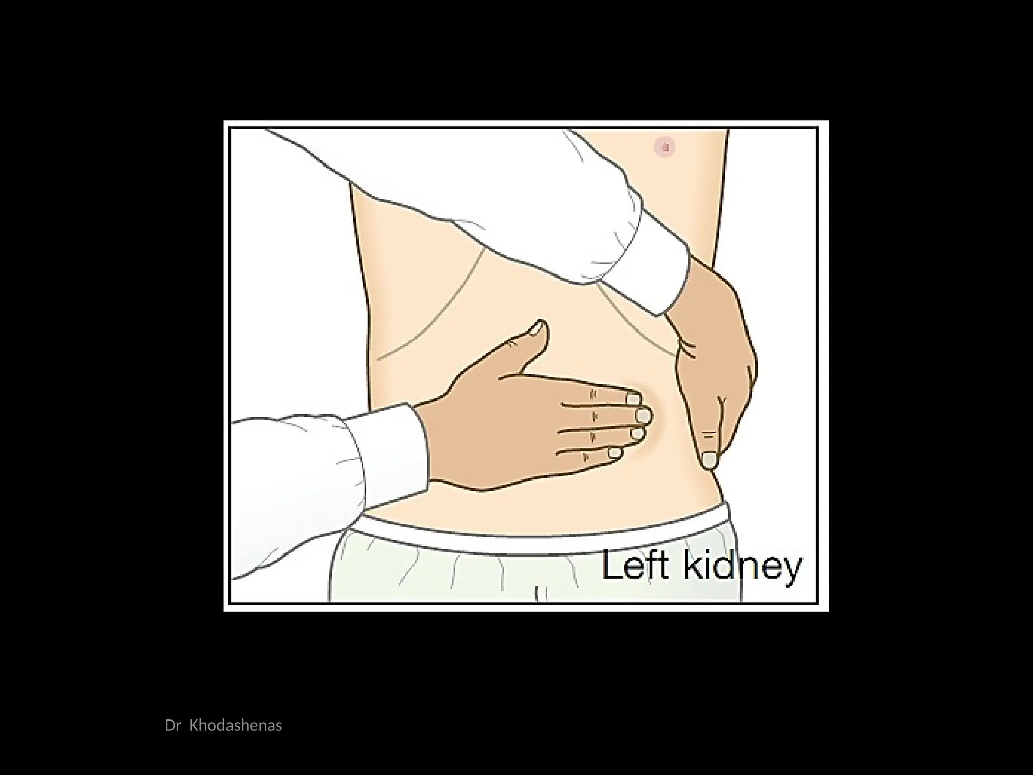 nephro semiology for medicalstudents.pptx