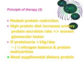 Principle of therapy (2) Modest protein restriciton High protein diet increases urinary protein excretion rate => worsen glomerular lesion If proteinuria >10g/day –  (-) nitrogen balance & protein malnutrition •   Need supplimental dietary protein 