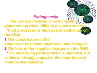 Pathogenesis   The primary disorder is an increase in glomerular permea- bility to plasma proteins.   *Foot processes of the visceral epithelium of the GBM. 1. The construction of the glomerular basement membrane has changed.  2. The loss of the negative charges on the GBM.   * The underlying pathogenesis is unknown, but evidence strongly supports the importance of immune mechanisms. 