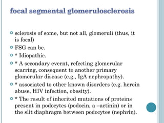 sclerosis of some, but not all, glomeruli (thus, it is focal) FSG can be. * Idiopathic. * A secondary evernt, refecting glomerular scarring, consequent to another primary glomerular disease (e.g., IgA nephropathy). * associated to other known disorders (e.g. heroin abuse, HIV infection, obesity). * The result of inherited mutations of proteins present in podocytes (podocin, a –actinin) or in the slit diaphragm between podocytes (nephrin). 