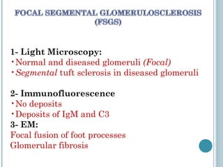 1- Light Microscopy:  Normal and diseased glomeruli  (Focal) Segmental  tuft sclerosis in diseased glomeruli  2- Immunofluorescence  No deposits  Deposits of IgM and C3 3- EM:  Focal fusion of foot processes Glomerular fibrosis 