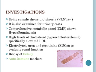 INVESTIGATIONS Urine sample shows proteinuria (>3.5/day ) It is also examined for urinary casts Comprehensive metabolic panel (CMP) shows Hypoalbuminemia High levels of cholesterol (hypercholesterolemia), specifically elevated LDL Electrolytes, urea and creatinine (EUCs): to evaluate renal function Biopsy of  kidney   Auto-immune  markers  