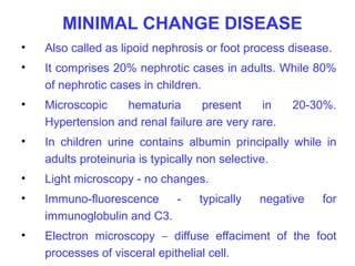 MINIMAL CHANGE DISEASE
•   Also called as lipoid nephrosis or foot process disease.
•   It comprises 20% nephrotic cases in adults. While 80%
    of nephrotic cases in children.
•   Microscopic    hematuria      present     in    20-30%.
    Hypertension and renal failure are very rare.
•   In children urine contains albumin principally while in
    adults proteinuria is typically non selective.
•   Light microscopy - no changes.
•   Immuno-fluorescence    -      typically   negative    for
    immunoglobulin and C3.
•   Electron microscopy – diffuse effaciment of the foot
    processes of visceral epithelial cell.
 