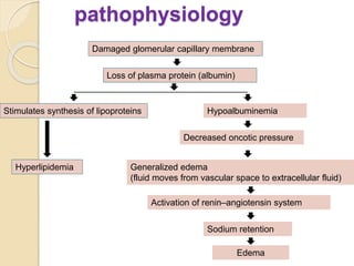pathophysiology
Damaged glomerular capillary membrane
Loss of plasma protein (albumin)
Stimulates synthesis of lipoproteins Hypoalbuminemia
Hyperlipidemia
Decreased oncotic pressure
Generalized edema
(fluid moves from vascular space to extracellular fluid)
Activation of renin–angiotensin system
Sodium retention
Edema
 