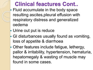  Fluid accumulate in the body space
resulting ascites,pleural effusion with
respiratory distress and generalized
oedema
 Urine out put is reduce
 GI disturbances usually found as vomiting,
loss of appetite & diarrhoea
 Other features include fatigue, lethergy,
pallor & irritability, hypertension, hematuria,
hepatomegaly & wasting of muscle may
found in some cases.
Clinical feactures Cont..
 