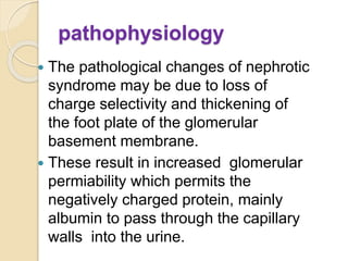 pathophysiology
 The pathological changes of nephrotic
syndrome may be due to loss of
charge selectivity and thickening of
the foot plate of the glomerular
basement membrane.
 These result in increased glomerular
permiability which permits the
negatively charged protein, mainly
albumin to pass through the capillary
walls into the urine.
 
