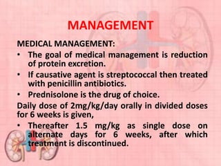 MANAGEMENT
MEDICAL MANAGEMENT:
• The goal of medical management is reduction
of protein excretion.
• If causative agent is streptococcal then treated
with penicillin antibiotics.
• Prednisolone is the drug of choice.
Daily dose of 2mg/kg/day orally in divided doses
for 6 weeks is given,
• Thereafter 1.5 mg/kg as single dose on
alternate days for 6 weeks, after which
treatment is discontinued.
 