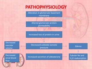 PATHOPHYSIOLOGY
Alteration in glomerular basement
membrane
Decreased colloidal osmotic
pressure
Decreased
vascular
volume
Decreased
renal blood
flow
Increased loss of protein in urine
Altered glomerular protein
permeability
Increased secretion of aldosterone
Edema
Tubular Na and
H2O reabsorption
 