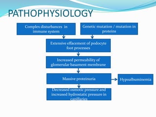 PATHOPHYSIOLOGY
Complex disturbances in
immune system
Genetic mutation / mutation in
proteins
Extensive effacement of podocyte
foot processes
Increased permeability of
glomerular basament membrane
Massive proteinuria
Decreased osmotic pressure and
increased hydrostatic pressure in
capillaries
Hypoalbuminemia
 