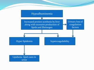 Hypoalbuminemia
Increased protien synthesis by liver
along with excessive production of
lipids and fibrinogen
Hyper lipidemia
Lipiduria- lipid casts in
urine
hypercoagulability
Urinary loss of
coagulation
factors
 
