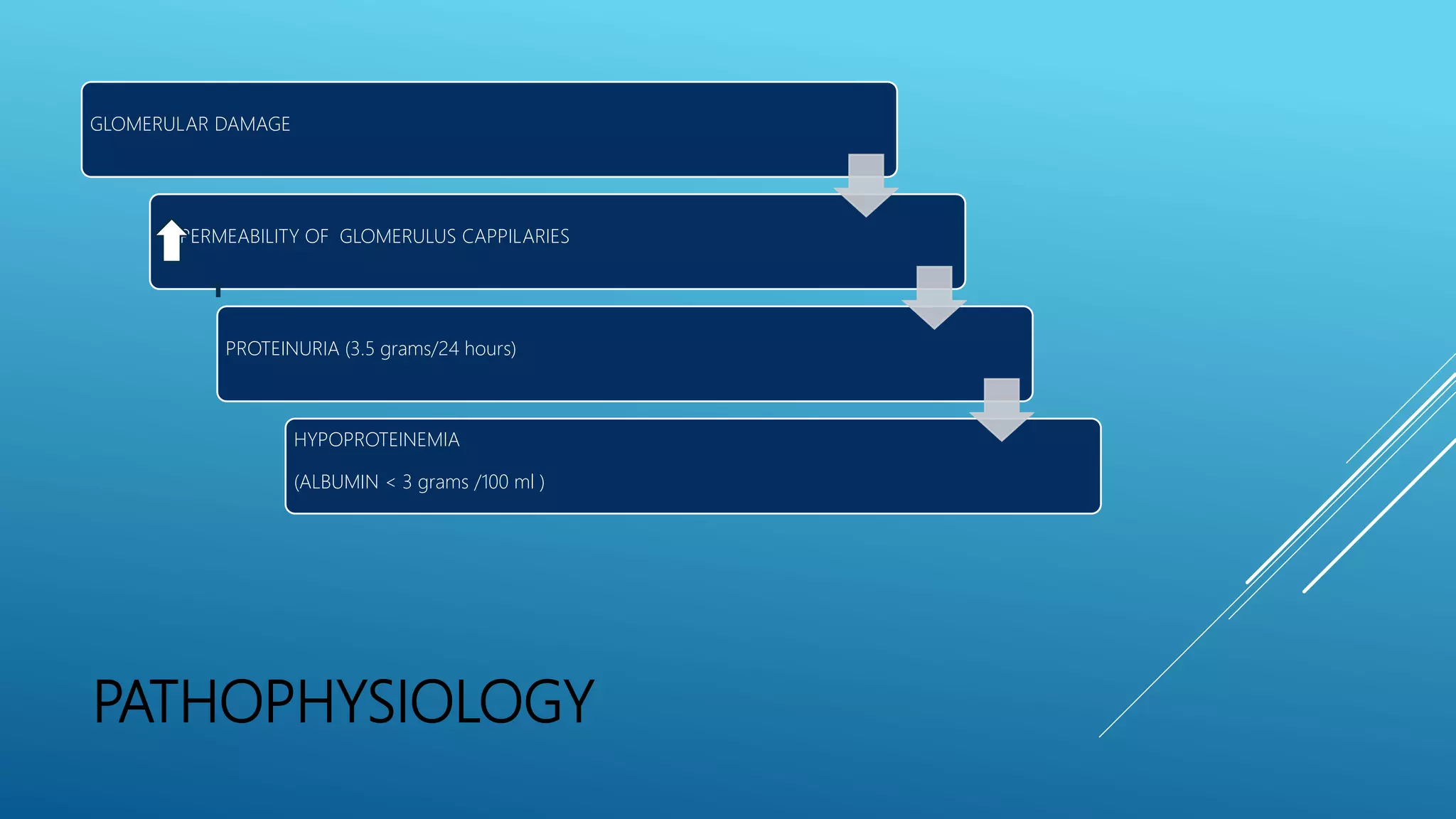 Nephrotic Syndrome PPT Nephrotic Syndrome PPT