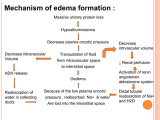 Mechanism of edema formation :
Massive urinary protein loss
Hypoalbuminaemia
Decrease plasma oncotic pressure
Transudation of fluid
from intravascular space
to interstitial space
Oedema
Because of the low plasma oncotic
pressure , reabsorbed Na+ & water
Are lost into the interstitial space
Decrease intravascular
Volume
ADH release
Reabsorption of
water in collecting
ducts
Decrease
intrvascular volume
↓ Renal perfusion
Activation of renin
angiotensin
aldosterone system
Distal tubular
reabsorption of Na+
and H2O
 