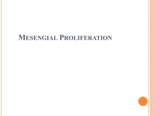 MESENGIAL PROLIFERATION
 
