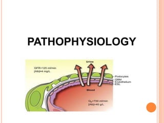 PATHOPHYSIOLOGY
 