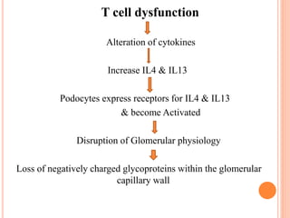T cell dysfunction
Alteration of cytokines
Increase IL4 & IL13
Podocytes express receptors for IL4 & IL13
& become Activated
Disruption of Glomerular physiology
Loss of negatively charged glycoproteins within the glomerular
capillary wall
 