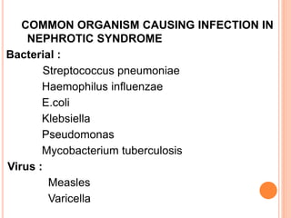 COMMON ORGANISM CAUSING INFECTION IN
NEPHROTIC SYNDROME
Bacterial :
Streptococcus pneumoniae
Haemophilus influenzae
E.coli
Klebsiella
Pseudomonas
Mycobacterium tuberculosis
Virus :
Measles
Varicella
 