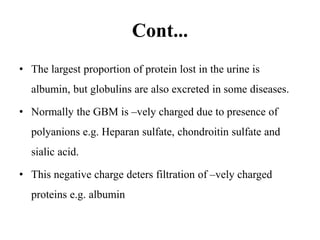 Cont...
• The largest proportion of protein lost in the urine is
albumin, but globulins are also excreted in some diseases.
• Normally the GBM is –vely charged due to presence of
polyanions e.g. Heparan sulfate, chondroitin sulfate and
sialic acid.
• This negative charge deters filtration of –vely charged
proteins e.g. albumin
 