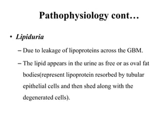 Pathophysiology cont…
• Lipiduria
– Due to leakage of lipoproteins across the GBM.
– The lipid appears in the urine as free or as oval fat
bodies(represent lipoprotein resorbed by tubular
epithelial cells and then shed along with the
degenerated cells).
 