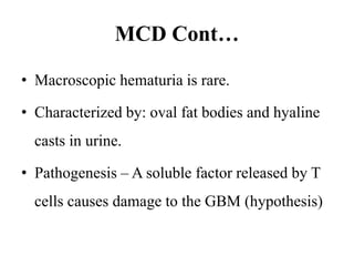 MCD Cont…
• Macroscopic hematuria is rare.
• Characterized by: oval fat bodies and hyaline
casts in urine.
• Pathogenesis – A soluble factor released by T
cells causes damage to the GBM (hypothesis)
 