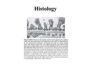 Histology
 