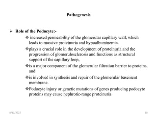 Nephrocity Nephrotic syndrome.pptx