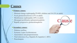 Causes
Primary causes:
• Minimal-change nephropathy(70-90% children and 10-15% in adult)
• Focal glomerulosclerosis (15% in adult)
• Membranous nephropathy (30% in adult)
• Mesangial proliferative glomerulonephritis
• Rapidly progressive glomerulonephritis
Secondary causes:
• Diabetes mellitus
• Systemic Lupus Erythematosus
• Amyloidosis and paraproteinemia
• Viral infections (E.g. Hepatitis B, hepatitis C, HIV)
• Preeclampsia
 