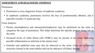 ASSESSMENT AND DIAGNOSTIC FINDINGS
Proteinuria:
• Proteinuria is a key diagnostic feature of nephrotic syndrome.
• In nephrotic syndrome, proteinuria involves the loss of predominantly albumin, and it
typically exceeds 3.5 grams per day.
Urine Analysis:
• Protein electrophoresis and immunoelectrophoresis may be performed on the urine to
categorize the type of proteinuria. This helps determine the specific proteins being lost in
the urine.
• Increased levels of white blood cells (WBCs) may be present in the urine, indicating
possible inflammation or infection in the urinary tract.
• Granular and epithelial casts may also be observed in the urine. Casts are cylindrical
structures formed in the renal tubules and can be indicative of kidney damage.
 