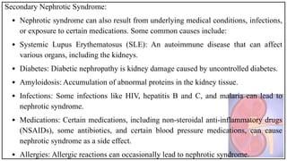 Secondary Nephrotic Syndrome:
• Nephrotic syndrome can also result from underlying medical conditions, infections,
or exposure to certain medications. Some common causes include:
• Systemic Lupus Erythematosus (SLE): An autoimmune disease that can affect
various organs, including the kidneys.
• Diabetes: Diabetic nephropathy is kidney damage caused by uncontrolled diabetes.
• Amyloidosis: Accumulation of abnormal proteins in the kidney tissue.
• Infections: Some infections like HIV, hepatitis B and C, and malaria can lead to
nephrotic syndrome.
• Medications: Certain medications, including non-steroidal anti-inflammatory drugs
(NSAIDs), some antibiotics, and certain blood pressure medications, can cause
nephrotic syndrome as a side effect.
• Allergies: Allergic reactions can occasionally lead to nephrotic syndrome.
 