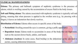 CLINICAL MANIFESTATIONS
Edema: The primary and hallmark symptom of nephrotic syndrome is the presence of
edema, which is swelling caused by the accumulation of excess fluid in the body tissues.
Soft and Pitting edema: The edema associated with nephrotic syndrome is typically soft and
pitting, meaning that when pressure is applied to the swollen area (e.g., by pressing with a
finger), it leaves an indentation that slowly resolves.
Distribution of Edema: Edema often occurs in specific areas of the body:
• Periorbital: Swelling around the eyes is common, giving a puffy appearance.
• Dependent Areas: Edema tends to accumulate in areas of the body that are dependent,
such as the sacrum (lower back), ankles, and hands.
• Abdomen (Ascites): In some cases, fluid buildup in the abdominal cavity can lead to
ascites, causing abdominal distension.
 