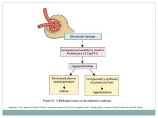Nephrocity Nephrotic Syndrome and nephritic syndrome.ppt