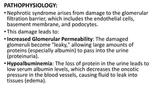 NEPHROTIC SYNDROME. a kidney disorder characterized by: Severe