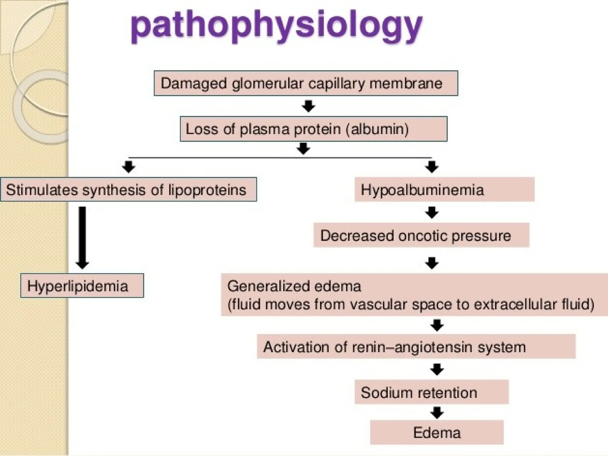 PATHOPHYSIOLOGY
 