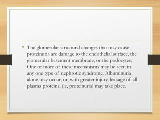 • The glomerular structural changes that may cause
proteinuria are damage to the endothelial surface, the
glomerular basement membrane, or the podocytes.
One or more of these mechanisms may be seen in
any one type of nephrotic syndrome. Albuminuria
alone may occur, or, with greater injury, leakage of all
plasma proteins, (ie, proteinuria) may take place.
 