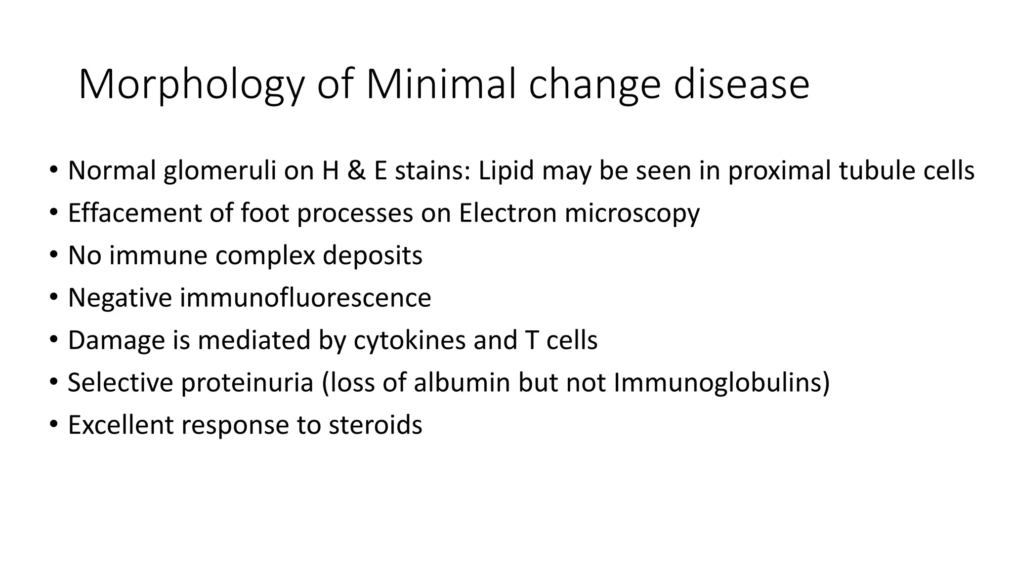 Morphology of Minimal change disease
• Normal glomeruli on H & E stains: Lipid may be seen in proximal tubule cells
• Effacement of foot processes on Electron microscopy
• No immune complex deposits
• Negative immunofluorescence
• Damage is mediated by cytokines and T cells
• Selective proteinuria (loss of albumin but not Immunoglobulins)
• Excellent response to steroids
 