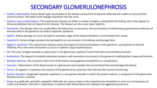 SECONDARY GLOMERULONEPHROSIS
• Diabetic nephropathy: Excess blood sugar accumulates in the kidney causing them to become inflamed and unable to carry out their
normal function. This leads to the leakage of proteins into the urine.
• Systemic lupus erythematosus: This autoimmune disease can affect a number of organs, among them the kidney, due to the deposit of
immunocomplexes that are typical to this disease. The disease can also cause lupus nephritis.
• Sarcoidosis: This disease does not usually affect the kidney but, on occasions, the accumulation of inflammatory granulomas (collection of
immune cells) in the glomeruli can lead to nephrotic syndrome.
• Syphilis: Kidney damage can occur during the secondary stage of this disease (between 2 and 8 weeks from onset).
• Hepatitis B: Certain antigens present during hepatitis can accumulate in the kidneys and damage them.
• Sjögren's syndrome: This autoimmune disease causes the deposit of immunocomplexes in the glomeruli, causing them to become
inflamed, this is the same mechanism as occurs in systemic lupus erythematosus.
• HIV: The virus’ antigens provoke an obstruction in the glomerular capillary’s lumen that alters normal kidney function.
• Amyloidosis: The deposit of amyloid substances (proteins with anomalous structures) in the glomeruli modifying their shape and function.
• Multiple myeloma: The cancerous cells arrive at the kidney causing glomerulonephritis as a complication.
• Vasculitis: Inflammation of the blood vessels at a glomerular level impedes the normal blood flow and damages the kidney.
• Cancer: As happens in myeloma, the invasion of the glomeruli by cancerous cells disturbs their normal functioning.
• Genetic disorders: Congenital nephrotic syndrome is a rare genetic disorder in which the protein nephrin, a component of the glomerular
filtration barrier, is altered.
• Drugs ( e.g. gold salts, penicillin, captopril): Gold salts can cause a more or less important loss of proteins in urine as a consequence of
metal accumulation. Penicillin is nephrotoxic in patients with kidney failure and captopril can aggravate proteinuria.
 