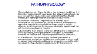 PATHOPHYSIOLOGY
• The renal glomerulus filters the blood that arrives at the kidney. It is
formed of capillaries with small pores that allow small molecules to
pass through that have a molecular weight of less than 40,000
Daltons, but not larger macromolecules such as proteins.
• In nephrotic syndrome, the glomeruli are affected by an
inflammation or a hyalinization (the formation of a homogenous
crystalline material within cells) that allows proteins such as
albumin, antithrombin or the immunoglobulins to pass through the
cell membrane and appear in urine.
• Albumin is the main protein in the blood that is able to maintain an
oncotic pressure, which prevents the leakage of fluid into the
extracellular medium and the subsequent formation of edemas.
• As a response to hypoproteinemia the liver commences a
compensatory mechanism involving the synthesis of proteins, such
as alpha-2 macroglobulin and lipoproteins. An increase in the latter
can cause the hyperlipidemia associated with this syndrome
 