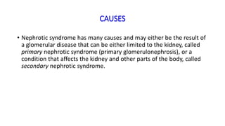 CAUSES
• Nephrotic syndrome has many causes and may either be the result of
a glomerular disease that can be either limited to the kidney, called
primary nephrotic syndrome (primary glomerulonephrosis), or a
condition that affects the kidney and other parts of the body, called
secondary nephrotic syndrome.
 