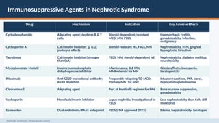 Mcd Agent Comprehensive Postgraduate Lecture on Nephrotic Syndrome ...