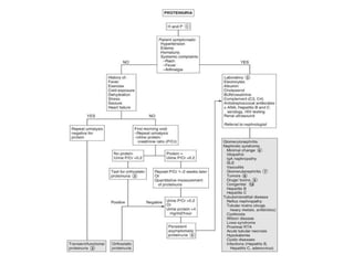 Comprehensive Overview of Nephrotic Syndrome | PPTX