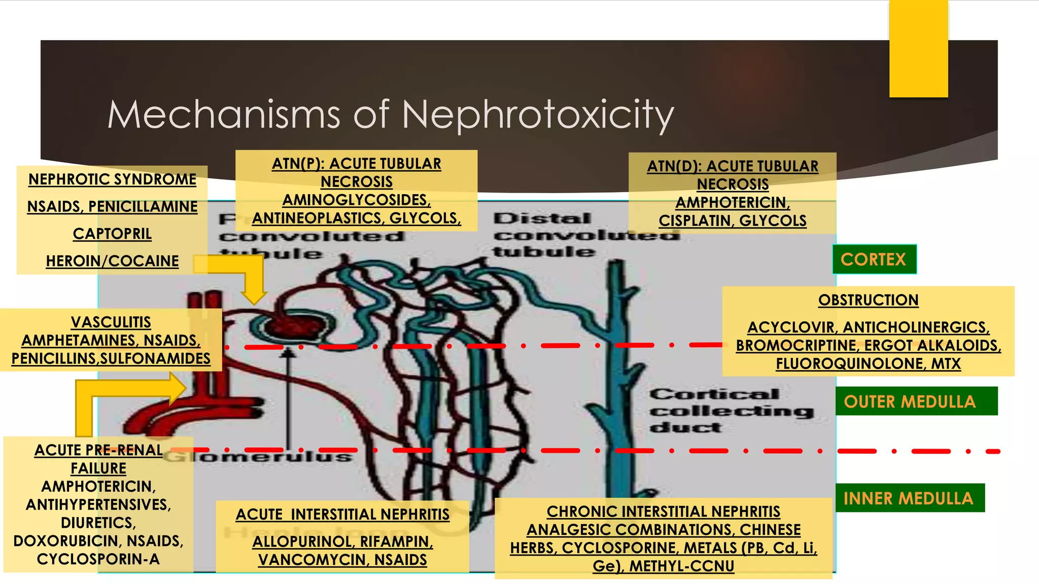 Nephrotoxic drugs