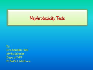 Nephrotoxicity Tests
By
Dr.Chandan Patil
MVSc Scholar
Depy of VPT
DUVASU, Mathura
 