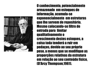 O conhecimento, potencialmente armazenado  em estoques de informação, acumula-se exponencialmente  em estruturas que lhe servem de repositório. Mesmo colocando-se filtro de entrada para  limitar qualitativamente o  crescimento destes estoques, a coisa toda tenderá a ruir em pedaços, devido ao seu próprio peso, a menos que se modifique as proporções relativas da estrutura em relação ao seu conteúdo físico, ( D'Arcy  Thompson,1961).   