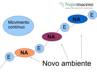 Movimento contínuo Novo ambiente E E E E NA NA NA 
