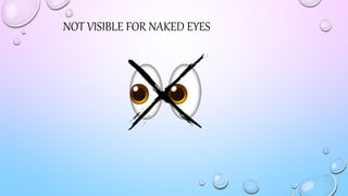 NOT VISIBLE FOR NAKED EYES
 