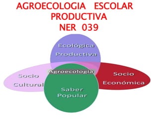 AGROECOLOGIA ESCOLAR
PRODUCTIVA
NER 039
 